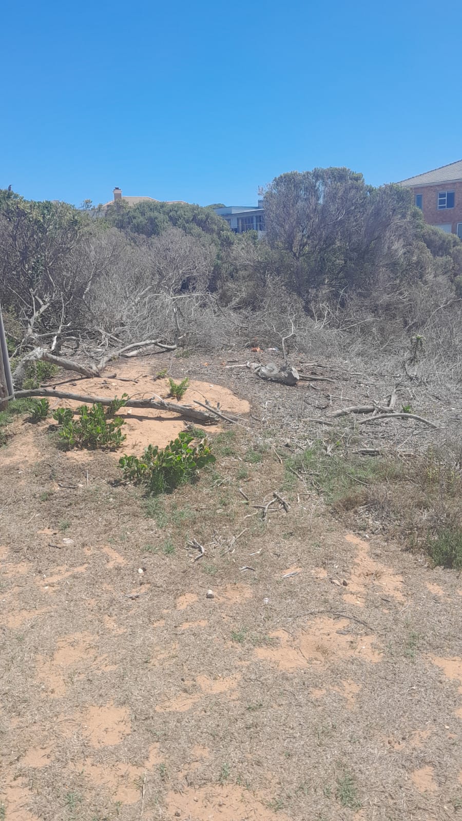 0 Bedroom Property for Sale in Jongensfontein Western Cape